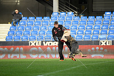 Estrellest Dragon Darka