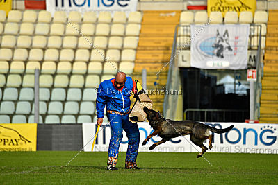 Estrellest von Väle Virtin