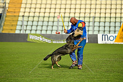Estrellest von Väle Virtin