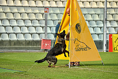 Estrellest von Väle Virtin