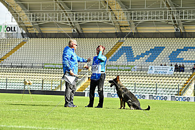 Estrellest von Väle Virtin