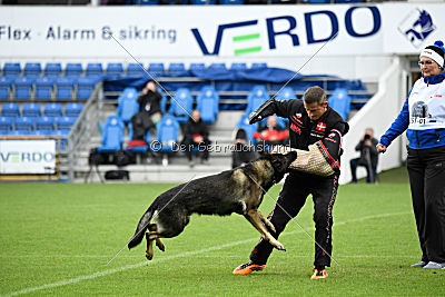 Estrellest von Vertex