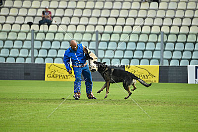 Estrellest von Vertex