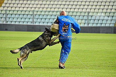 Estrellest von Vertex