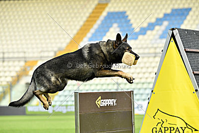 Estrellest von Vertex