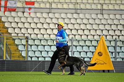 Estrellest von Vertex