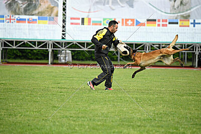 Evolution ot Vitosha