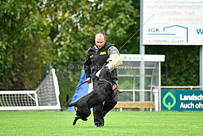 Excalibur von der Rasselbande