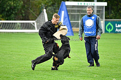 Excalibur von der Rasselbande