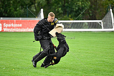 Excalibur von der Rasselbande