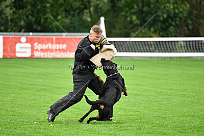 Excalibur von der Rasselbande