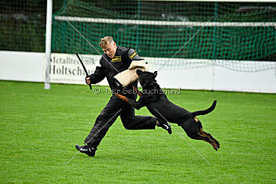 Excalibur von der Rasselbande