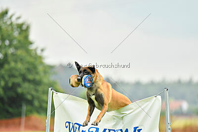 F'Nikita Lobo Grande