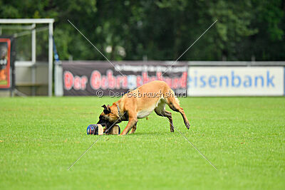 F'Nikita Lobo Grande