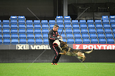 Fado vom dunklen Zwinger