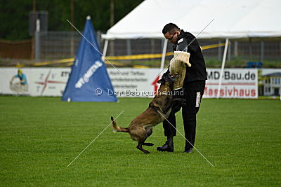 Fanny vom Lausitzeck