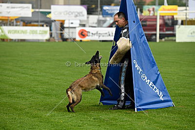 Fanny vom Lausitzeck