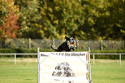 Farina vom Mesumer Land