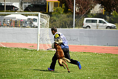 Faro Bohemia Col-Bri