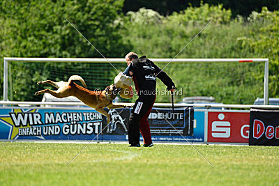 Faros vom Haus Mecki