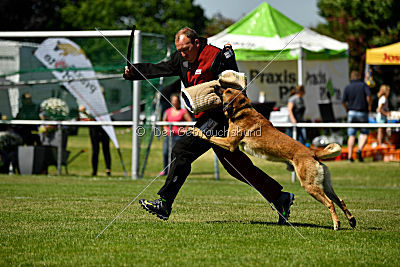 Faros vom Haus Mecki