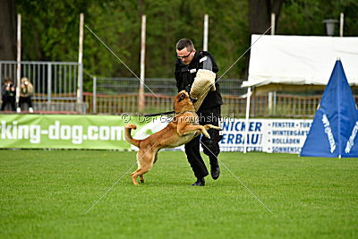 Faros vom Haus Mecki