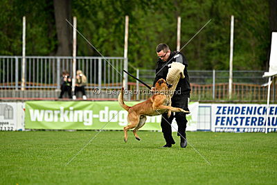 Faros vom Haus Mecki