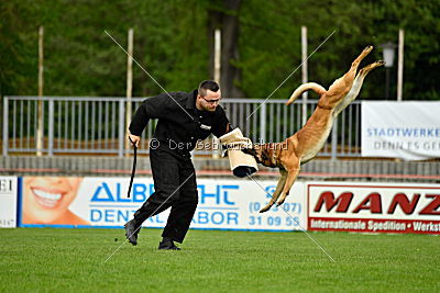 Faros vom Haus Mecki