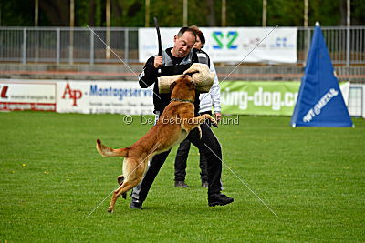 Faros vom Haus Mecki