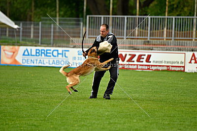 Faros vom Haus Mecki