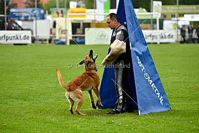 Faros vom Haus Mecki