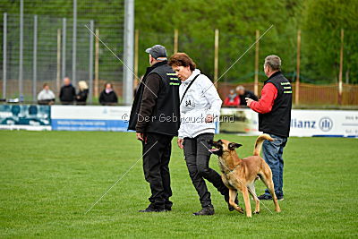 Faros vom Haus Mecki