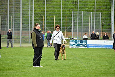 Faros vom Haus Mecki