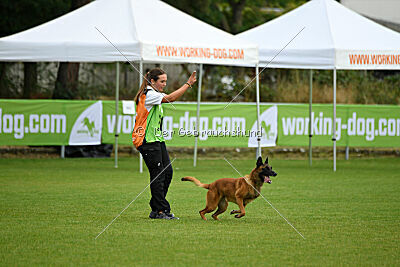 Farun des chiens de travail