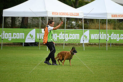 Farun des chiens de travail