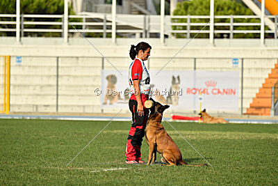 Felix vom blauen Mistral