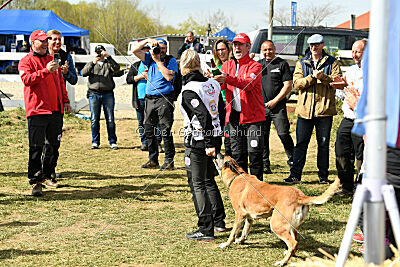 Femy vom schnellen Falken