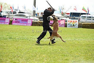 Femy vom schnellen Falken