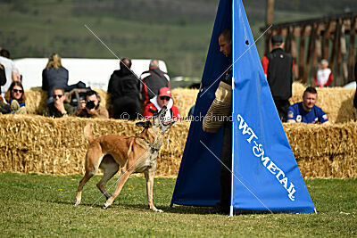 Femy vom schnellen Falken