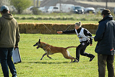 Femy vom schnellen Falken