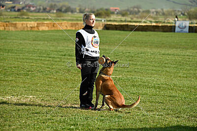 Femy vom schnellen Falken
