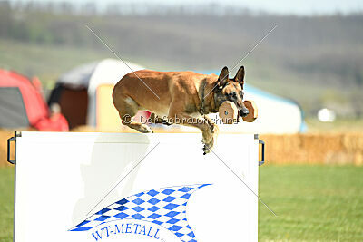 Femy vom schnellen Falken