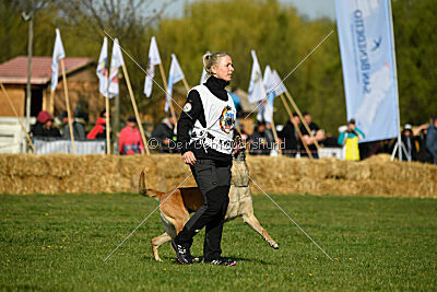 Femy vom schnellen Falken