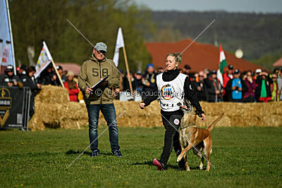 Femy vom schnellen Falken