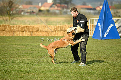 Femy vom schnellen Falken