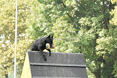 Fergie vom Ottilienstein