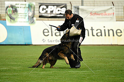 Fero vom Weggefährten