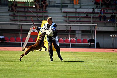 Ferro vom blauen Mistral