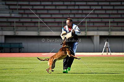 Ferro vom blauen Mistral