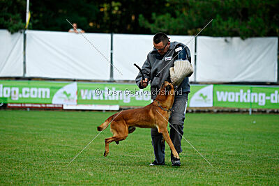 Fiasko vom Haus Mecki